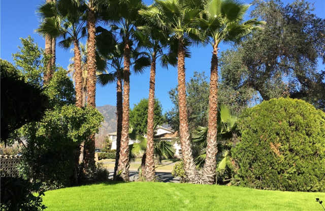 205 San Luis Rey Road - 205 San Luis Rey Road, Arcadia, CA 91007