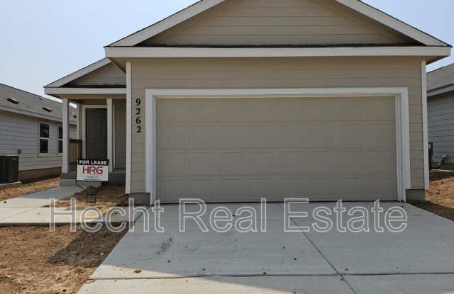 9262 Honey Mesquite photos photos