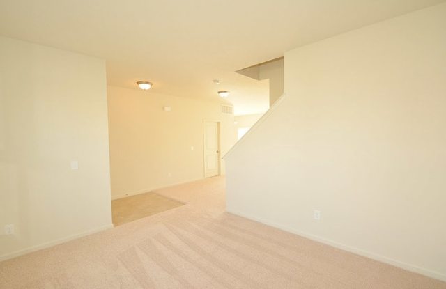 2291 Verbena Drive Gallery 4