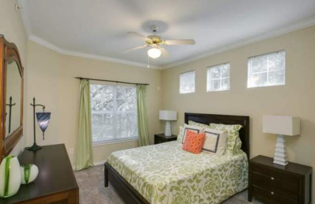 18232 Blanco Springs Gallery 3