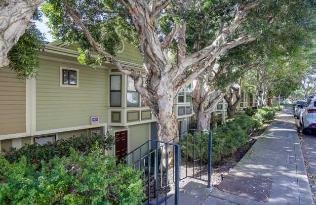 Sunny Potrero Hill 3BR / 1BA Townhome | Private Yard | YouTube Tour photos photos Sunny Potrero Hill 3BR / 1BA Townhome | Private Yard | YouTube Tour photos photos