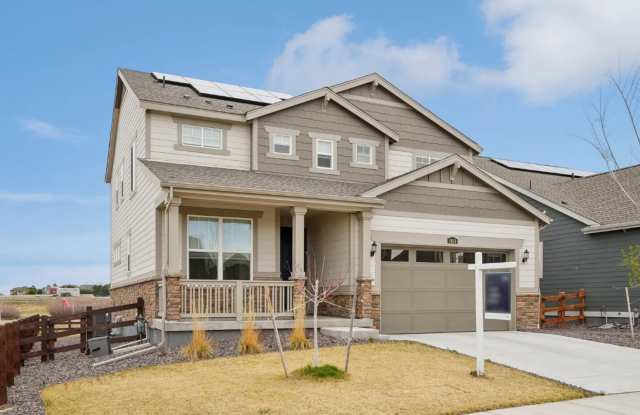 4 Bed 4 Bath Single Family Home in Erie- Available Now photos photos