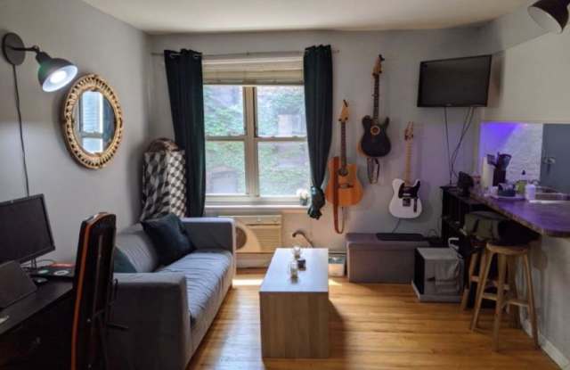 521 W Briar - 521 West Briar Place, Chicago, IL 60657