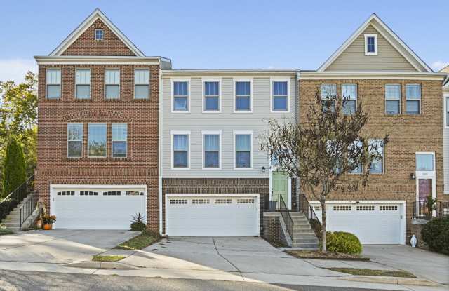 203 Natural Terrace SW - 1 - 203 Natural Terrace, Leesburg, VA 20175 203 Natural Terrace SW - 1 - 203 Natural Terrace, Leesburg, VA 20175