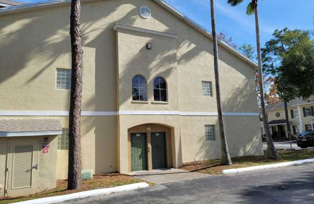 Large Sunridge Palms townhome across from USF! - 5003 Sunridge Palms Drive, Hillsborough County, FL 33617