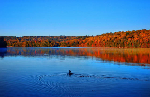 619 Otter Road Gallery 2