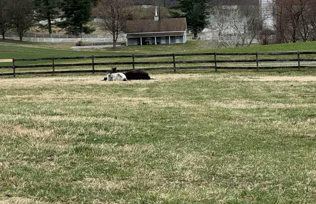 4299 Hawthorne Farms Rd photos photos