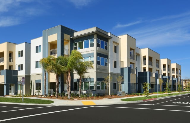 Mosaic Apartments Gallery 2