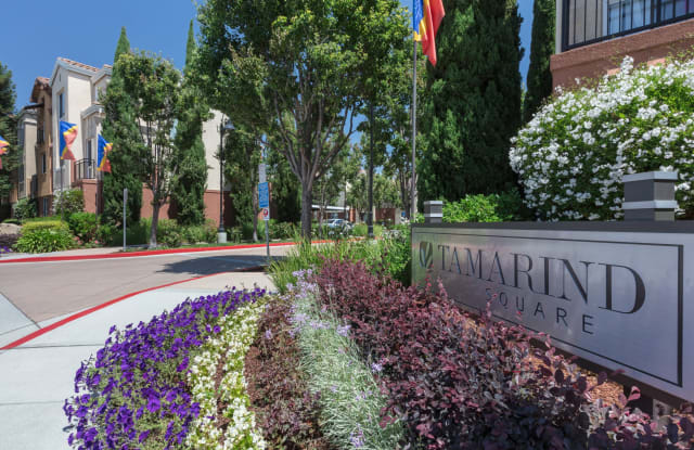 Tamarind Square photos photos