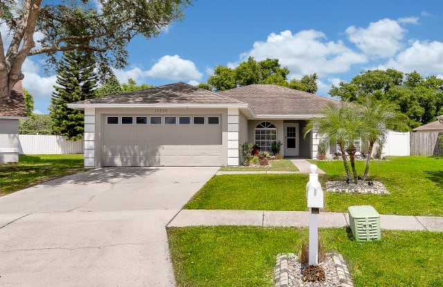 13224 Pine Creek Circle - 13224 Pine Creek Circle, Riverview, FL 33579