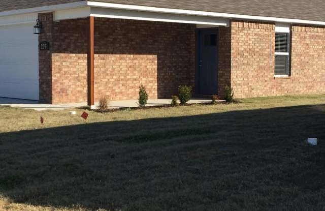 233 E Anabranch Court Gallery 4