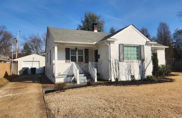 3780 CARDINAL photos photos