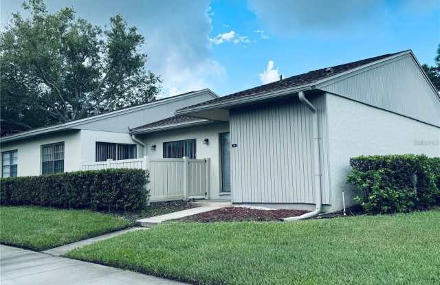 10 EVELYN COURT - 10 Evelyn Court, East Lake, FL 34677