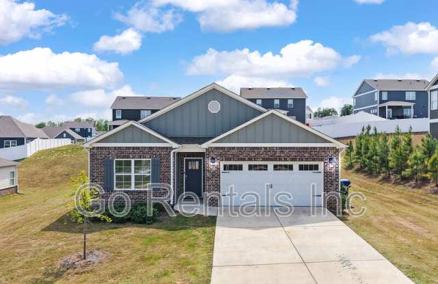 2020 Lonesome Hen Lane photos photos