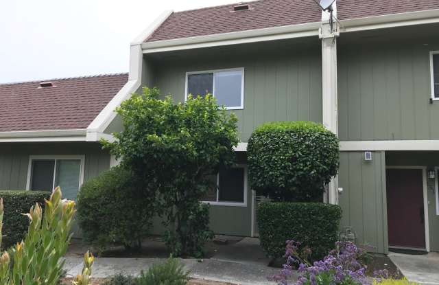 149 Harbor Oaks Cir Gallery 3