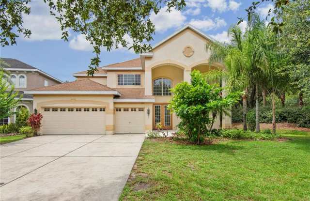 10110 EVERGREEN HILL DRIVE - 10110 Evergreen Hill Drive, Tampa, FL 33647