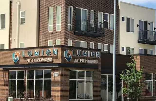 Lumien at Fitzsimons Gallery 3