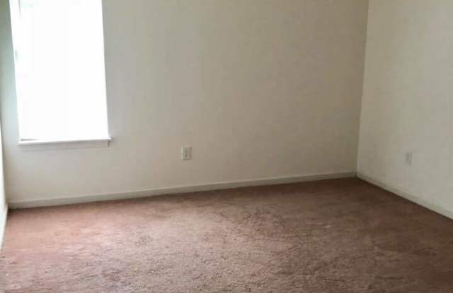 Adorable 3 Bedroom House in Clemson! Gallery 4