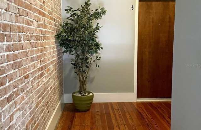 29 E MAGNOLIA AVENUE Gallery 3