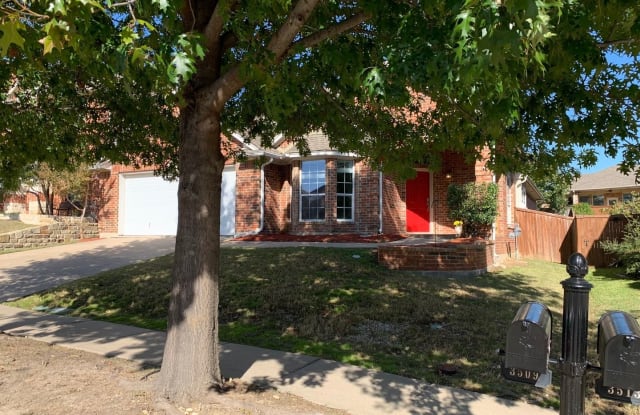 3509 Amador Dr - 3509 Amador Drive, Fort Worth, TX 76244