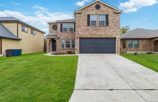 7235 Dwarf Palm photos photos