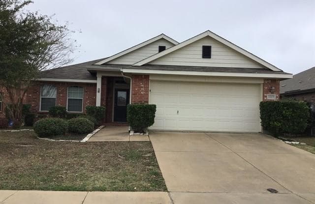 1117 Luckenbach Drive - 1117 Luckenbach Drive, Travis Ranch, TX 75126