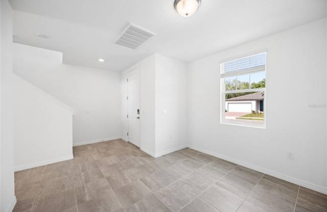 2339 WHITE TAIL Gallery 2