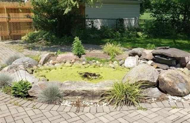26656 Rouge River Dr Drive photos photos