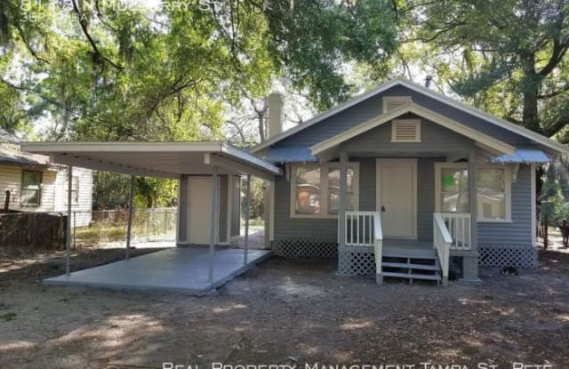 8113 N Mulberry St - 8113 North Mulberry Street, Tampa, FL 33604