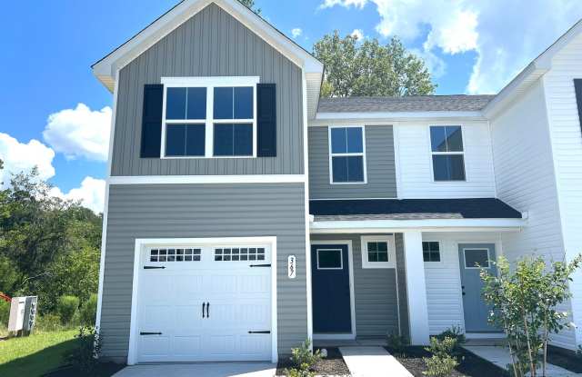 New Three-Bedroom, Two and one-half Bath Town Home with Garage at Meadow's Edge near Conway! photos photos