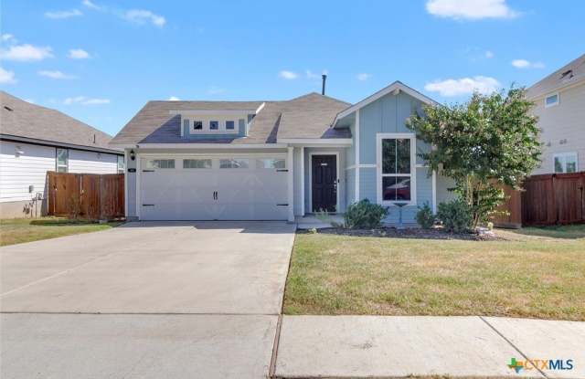 425 Spiny Lizard Lane - 425 Spiny Lizard Lane, Hays County, TX 78666