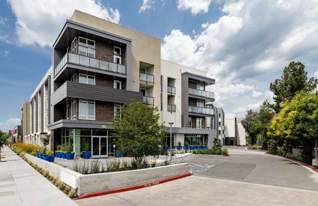 Cobalt Apartments photos photos