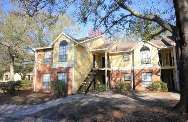 8630 MALLARD RESERVE DRIVE - 8630 Mallard Reserve Drive, Egypt Lake-Leto, FL 33614