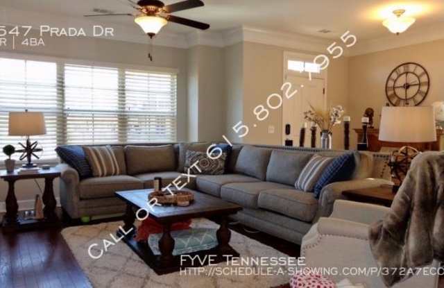 5547 Prada Dr Gallery 3