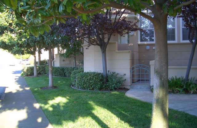 1489 Gingerwood Drive - 1489 Gingerwood Drive, Milpitas, CA 95035