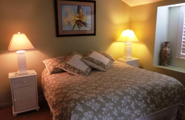 4222 Sun Village Ct Unit 2C Gallery 3