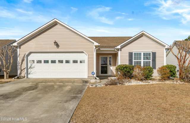 247 Red Carnation Drive photos photos