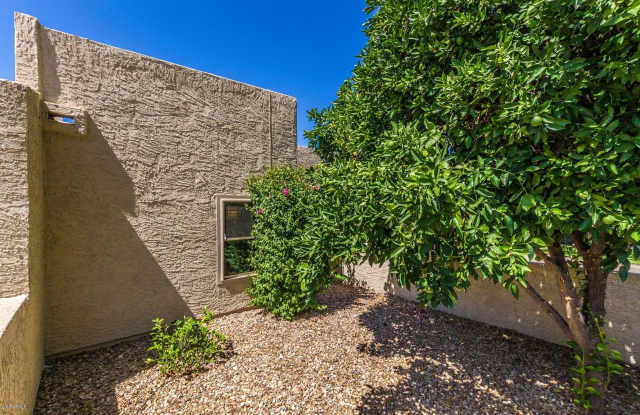 7848 E BONITA Drive Gallery 2