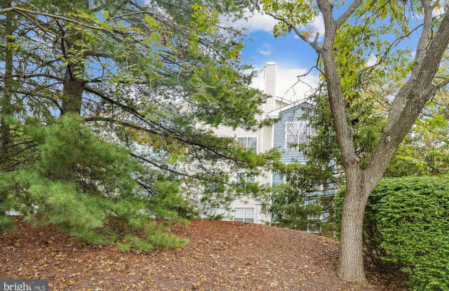 20963 TIMBER RIDGE TERRACE Gallery 4