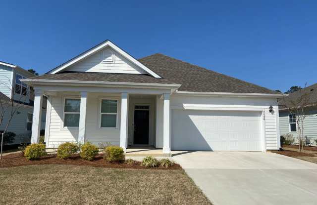Brand new construction home in the desirable Brunswick Forest subdivision photos photos