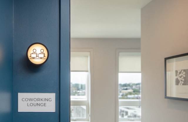 Solo on Chestnut photos photos