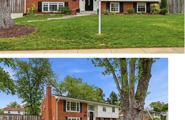 7504 Dolce Drive photos photos