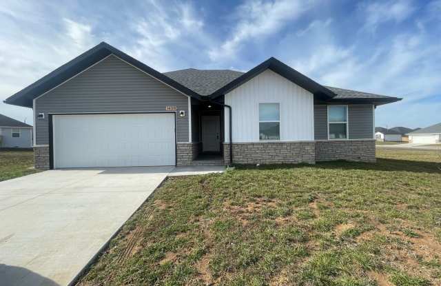 Make this beautiful modern home yours!! - 1420 Drayton Court, Greene County, MO 65738
