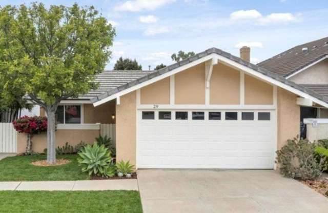 29 Blackswan photos photos 29 Blackswan photos photos