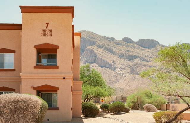 Pusch Ridge Gallery 3