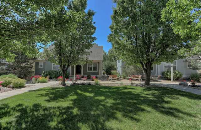 3 Bedroom 2 Bath Home in Loveland Gallery 4