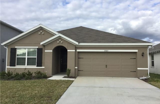 32603 Brooks Hawk Lane - 32603 Brooks Hawk Ln, Wesley Chapel, FL 33543