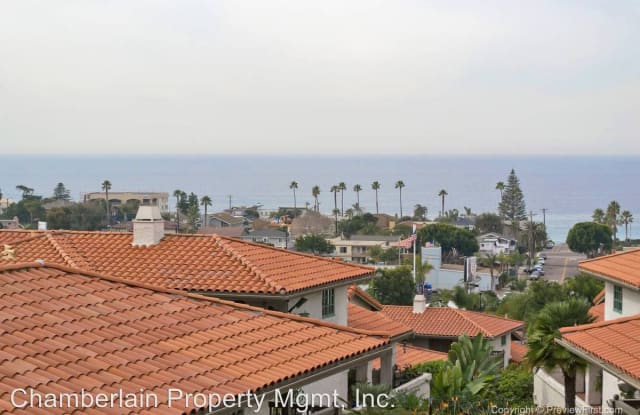 338 Vista Del Rey Dr - 338 Vista Del Rey Drive, Encinitas, CA 92024