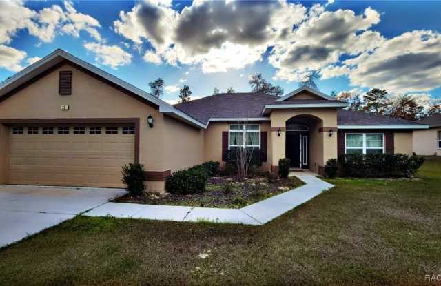 23 Lone Pine Street - 23 Lone Pine Street, Sugarmill Woods, FL 34446