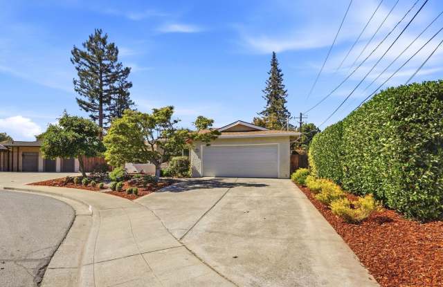 Charming Mountain View home with mature fruit trees and a private backyard retreat Gallery 4